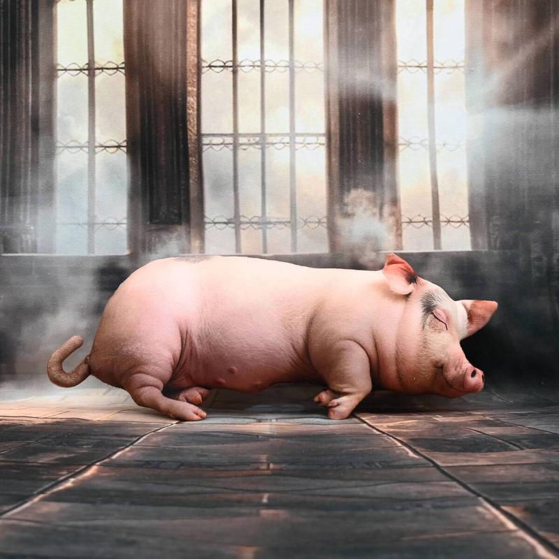 Peluche cochon endormi réalist - Home Office With Sofa avis et prix