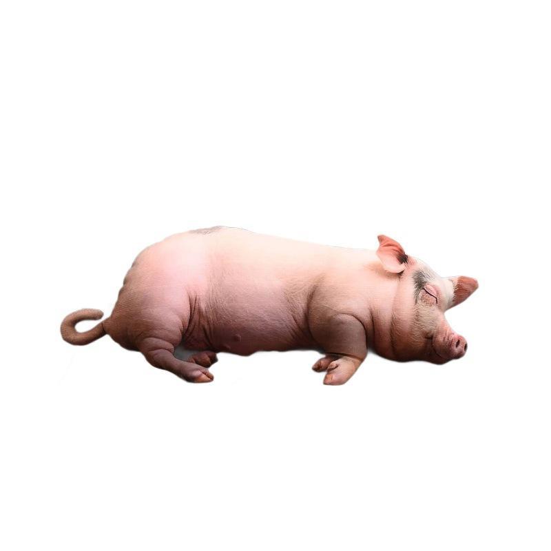 Peluche cochon endormi réalist - Home Office With Sofa avis et prix