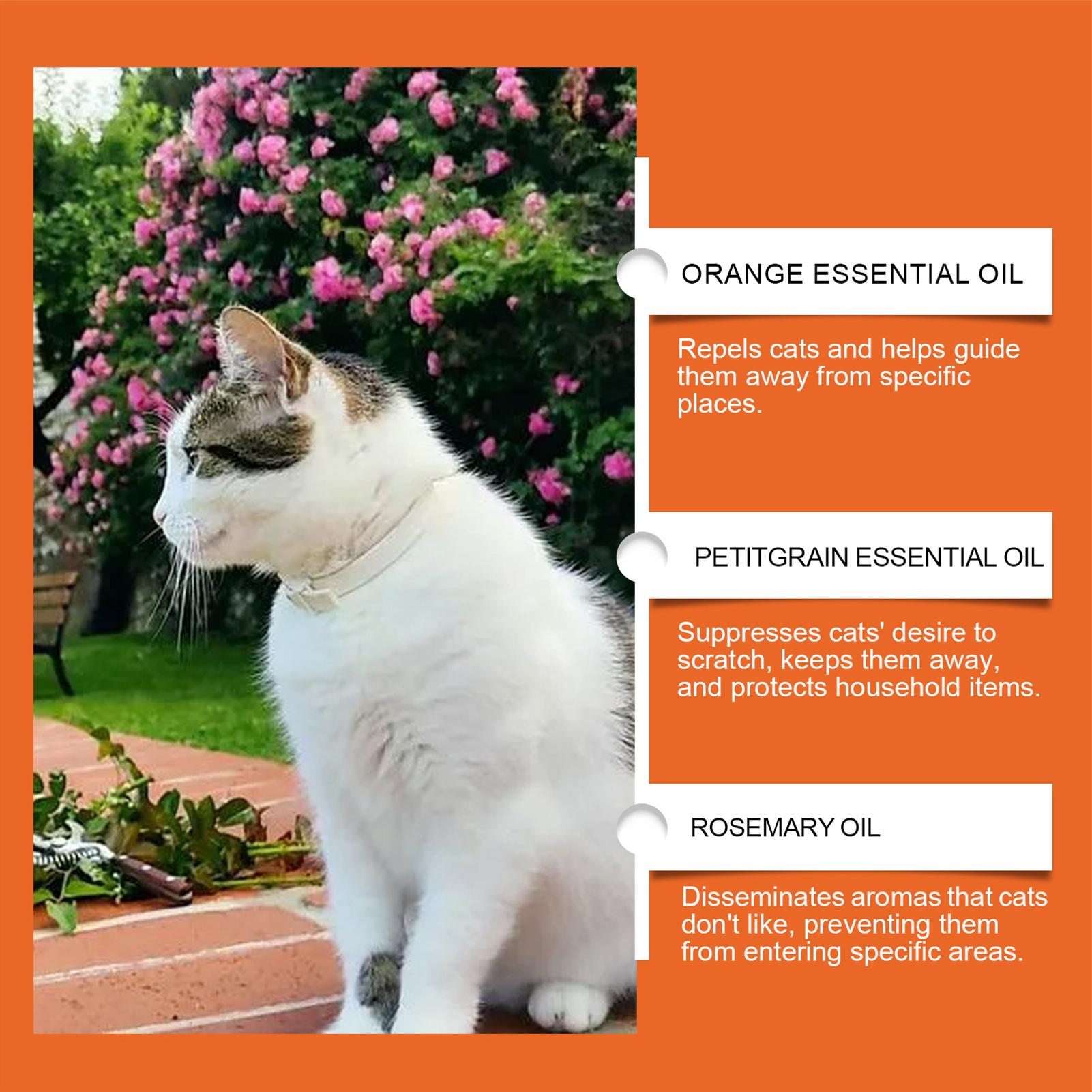 Spray anti-griffures pour chat - Home Office With Sofa avis et prix